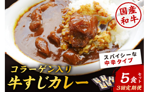 【3回定期便】ゴロッ!と入ったコラーゲン博多和牛 牛すじカレー5食セット【001-0386】福岡県中間市36000鍋セット・総菜・加工食品総菜