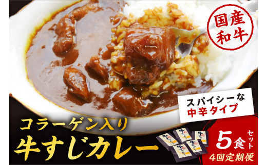 【4回定期便】ゴロッ!と入ったコラーゲン 博多和牛 牛すじカレー5食セット【001-0387】福岡県中間市48000鍋セット・総菜・加工食品総菜