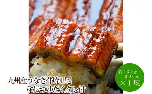 九州産うなぎ蒲焼1尾秘伝つゆだくタレ付【001-0308】福岡県中間市12000魚介・海産物うなぎ