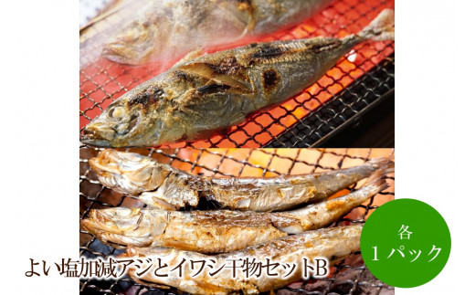 程よい塩加減アジとイワシ干物セットB【001-0314】福岡県中間市9000魚介・海産物干物