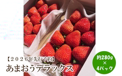 【2026年先行予約】あまおうデラックス(4パック)【044-0060】福岡県中間市16000果物・フルーツいちご