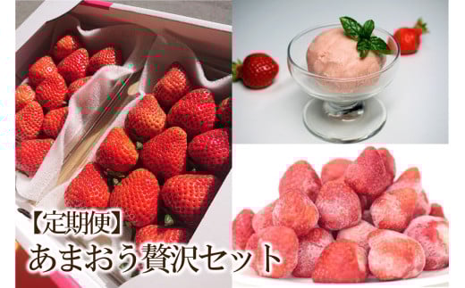 【2026年先行予約】【3回定期便】あまおう贅沢セット(生いちご、冷凍、ジェラート)【044-0065】福岡県中間市39000果物・フルーツいちご