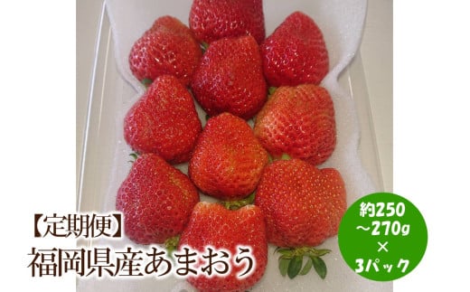 【2026年先行予約】【3回定期便】福岡県産あまおう約250-270gx3パックx3回【044-0066】福岡県中間市39000果物・フルーツいちご
