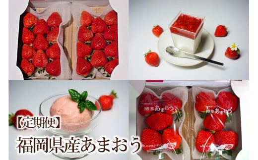 【2026年先行予約】【4回定期便】あまおう大好き定期便【044-0067】福岡県中間市60000果物・フルーツいちご