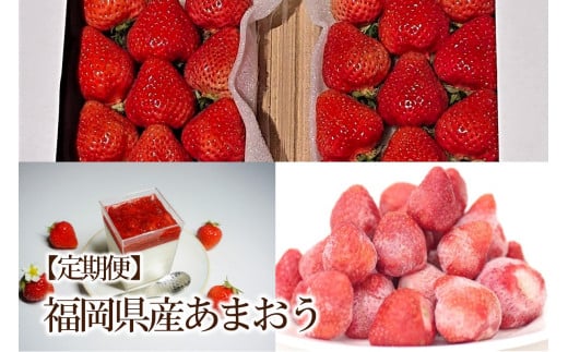 【2026年先行予約】【3回定期便】あまおう贅沢セットNo2(生、冷凍、レアチーズ)【044-0073】福岡県中間市39000果物・フルーツいちご