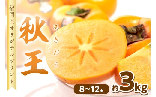 秋王(あきおう) 柿 約3kg箱(8-12玉)【011-0068】福岡県中間市32000果物・フルーツその他 果物・フルーツ