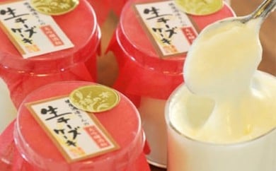 酒粕生チーズケーキ10個詰合せ【 椋の木ムック】_HA0117福岡県宗像市14000菓子・スイーツケーキ・カステラ