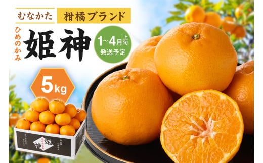 旬のミカンをお届け!JAむなかた柑橘ブランド「姫神」5kg 甘くておいしいみかん【2026年1月〜4月上旬発送】【ほたるの里】_HA0280福岡県宗像市15000果物・フルーツみかん・柑橘類