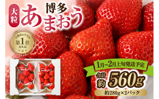 【アフター保証】大粒セレクト!大人気のあまおう 約280g×2パック【2026年1月〜2月上旬お届け】【ほたるの里】_HA0276福岡県宗像市10000果物・フルーツいちご