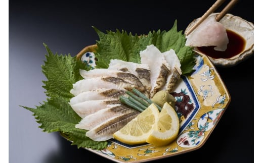 天然あなごの炙り刺し(宗像産)【宗像漁協】_HA0473福岡県宗像市13000魚介・海産物うなぎ