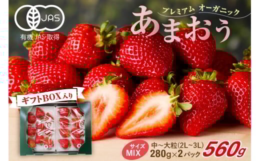 プレミアムオーガニックあまおう スペシャルギフト【伊世いちご畑】_HA0480福岡県宗像市19000果物・フルーツいちご