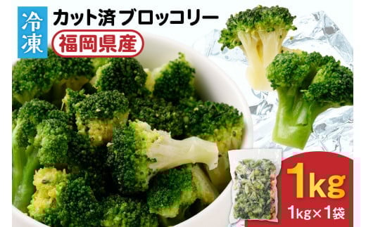 JAむなかたブロッコリー部会より!冷凍ブロッコリー1kg【ほたるの里】_HA0621福岡県宗像市9000野菜・きのこその他 野菜