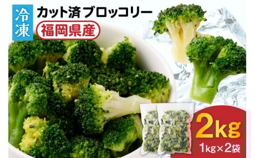 JAむなかたブロッコリー部会より!冷凍ブロッコリー2kg(1kg×2袋)【ほたるの里】_HA0622福岡県宗像市12000野菜・きのこその他 野菜
