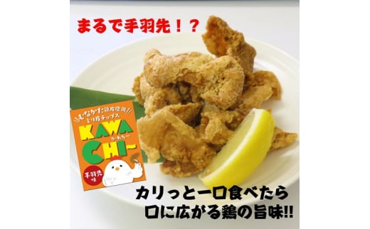 むなかた鶏 とり皮チップス(手羽先味)【道の駅むなかた】_HA0713福岡県宗像市12000肉その他 肉