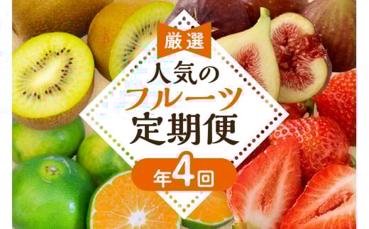 【定期便/年4回】旬の福岡フルーツ定期便【ほたるの里】_HB0087福岡県宗像市43000果物・フルーツ