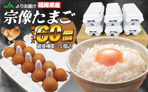 JAむなかたよりお届け!宗像たまご60個(55個+補償5個)【JAほたるの里】_HA0916福岡県宗像市9000卵・乳製品卵(鶏、烏骨鶏等)