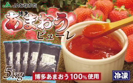 冷凍「博多あまおうピューレ」1kg×5袋【JAほたるの里】_HA1046福岡県宗像市26000鍋セット・総菜・加工食品ジャム・はちみつ