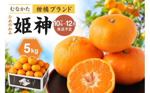 JAむかたブランド「姫神」5kg 【2025年10月下旬〜12月発送】【JAほたるの里】_HA1345福岡県宗像市15000果物・フルーツみかん・柑橘類