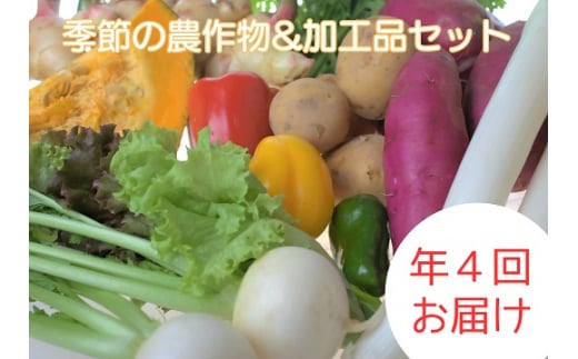 【定期便/年4回 】有機肥料で育った季節の農産物&加工品のセット【アグリCATS】_HB0115福岡県宗像市55000野菜・きのこその他 野菜