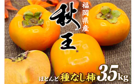 福岡県ブランド 高級柿【秋王】3.5kg【JAほたるの里】_HA1352福岡県宗像市17000果物・フルーツその他 果物・フルーツ