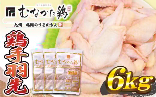手羽先 6kg (平飼い) 宗像産 ブランド鶏<むなかた鶏> 【JAほたるの里】_HA1421福岡県宗像市20000肉鶏肉