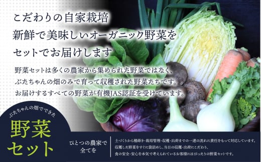 【定期便/年12回/毎月お届け】有機JAS認証 旬の野菜セット 8品【ぶたちゃんの畑】_HB0162福岡県宗像市118000野菜・きのこその他 野菜