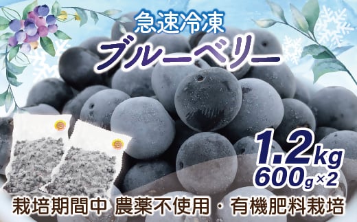 有機栽培・栽培期間中農薬不使用!急速冷凍ブルーベリー 1.2kg 【JAほたるの里】_HA1517福岡県宗像市14000果物・フルーツその他 果物・フルーツ