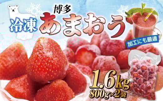 急速冷凍!人気のあまおう 冷凍いちご 福岡県特産品 大容量 1.6kg【JAほたるの里】_HA1513福岡県宗像市12000果物・フルーツいちご