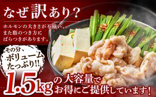󂠂 1.5kg yݖz疞15lO(5×3Zbg)yZXz_HA1493@s12000ZbgE؁EHHiJ[EV`[