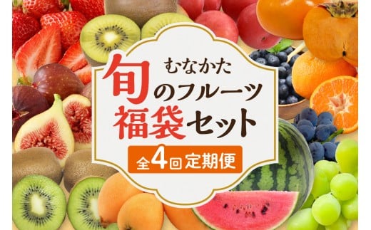 何が届くかお楽しみ!むなかた旬のフルーツ福袋定期便【年4回】【JAほたるの里】_HB0165福岡県宗像市48000果物・フルーツその他 果物・フルーツ