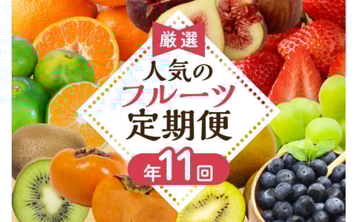 【定期便/年11回】JAむなかた厳選!旬のフルーツ定期便【JAほたるの里】_HB0171福岡県宗像市120000果物・フルーツ