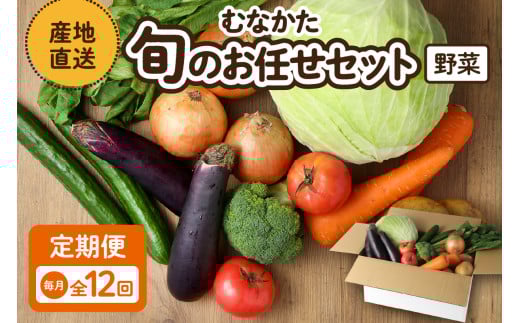 【毎月お届け】むなかた旬のお任せセット(野菜)7〜9品【JAほたるの里】_HB0173福岡県宗像市102000野菜・きのこその他 野菜