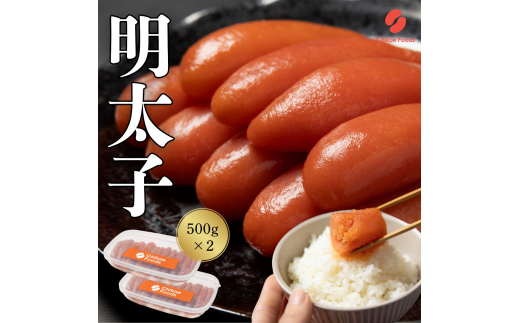 hqq 500g×2yt[Yz_HA1572@s20000ECYqȆ