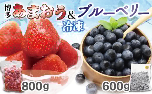 冷凍あまおう800g & 冷凍ブルーベリー600gセット 計1.4kg【JAほたるの里】_HA1653福岡県宗像市13000果物・フルーツいちご