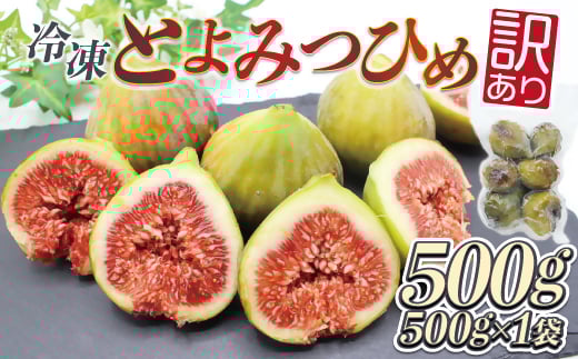 訳あり冷凍いちじく(とよみつひめ」)500g【JAほたるの里】_HA1657福岡県宗像市6000果物・フルーツその他 果物・フルーツ