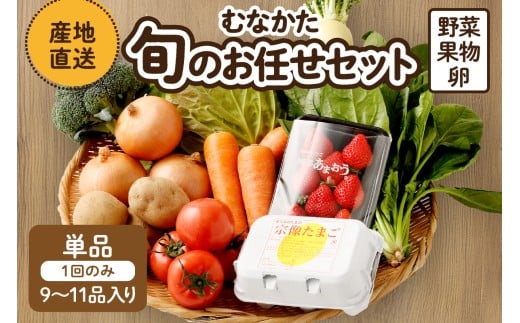 むなかた旬のお任せセット(野菜・フルーツ・卵) 9〜11品【JAほたるの里】_HA1712福岡県宗像市12000野菜・きのこその他 野菜