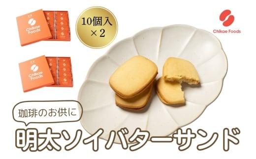 明太ソイバターサンド(10枚入り×2箱)【ちかえフーズ】_HA1670福岡県宗像市13000魚介・海産物明太子・その他魚卵