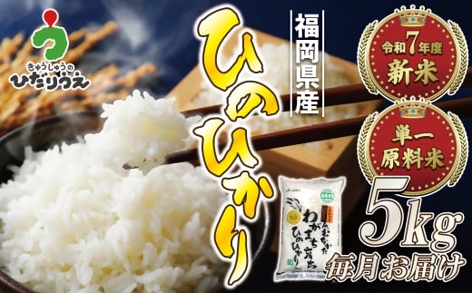 令和7年産 新米先行予約!【定期便/年12回】「ひのひかり」5kg【ほたるの里】_HB0197福岡県宗像市192000米・パン白米