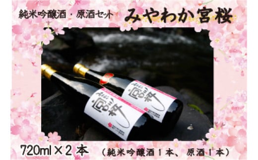 M13「みやわか宮桜」純米吟醸酒と原酒セット 父の日 ギフト プレゼント 贈り物福岡県宮若市14000酒・アルコール日本酒