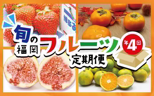 【定期便】福岡県ブランドフルーツ定期便(年4回) ブランド いちご ぶどう みかん 柿 大人気 NO1 限定品 高級 フルーツ 果物 くだもの 特別 冷蔵 プレゼント 九州 福岡 宮若市 ふるさと納