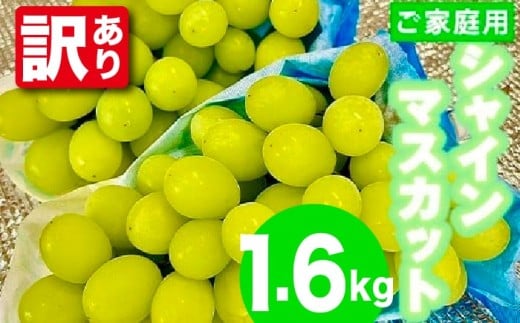 y󂠂zq_rVC}XJbg1.6kg(ƒp) [M882-1] ʕ ʏ` Ԃǂ   t[c Â }XJbg  {s {s14000ʕEt[c}XJbgEԂǂ