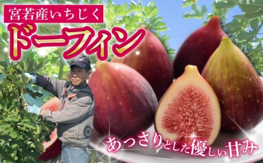 {sY  400g×4pbN(1.6kg) [M894-1]{s8000ʕEt[c̑ ʕEt[c