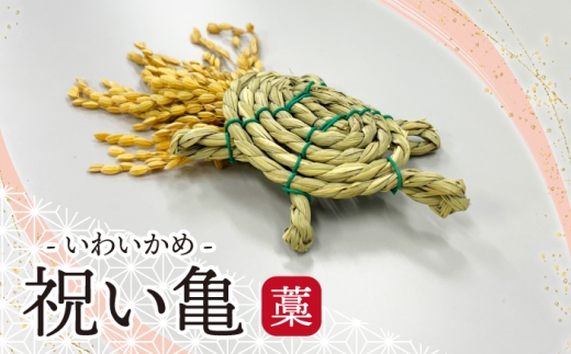 {s jT -m[M804W] N  K^ N ɐ ^ T  T  u @ CeA {s1500ߗށEiEH|ȋ iEH|i