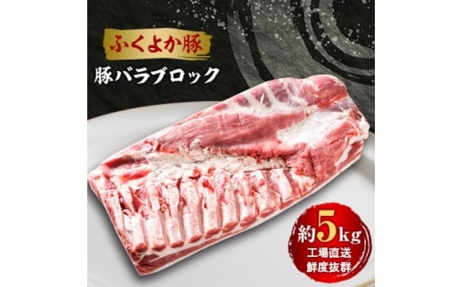 工場直送・鮮度抜群・ダイナミック <ふくよか豚>豚バラブロック 約5kg_豚バラブロック 豚バラブロック肉 豚肉 ブタ肉 豚 豚バラ ブロック肉 塊肉 自家製ベーコン チャーシュー しゃぶ