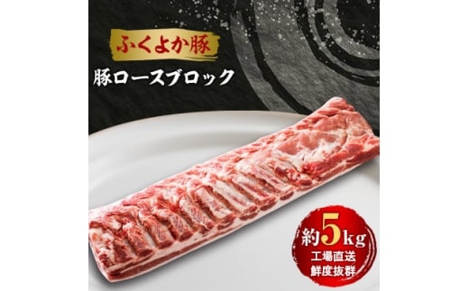 工場直送・鮮度抜群・ダイナミック <ふくよか豚>豚ロースブロック 約5kg_豚ロースブロック 豚ロースブロック肉 豚ロース ブロック肉 塊肉 豚肉 ブタ肉 豚 肉 ふくよか豚 焼肉 ステーキ