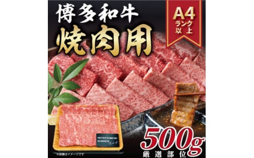<A4〜A5>博多和牛焼肉用 500g(水巻町)【1276688】福岡県水巻町13000肉牛肉
