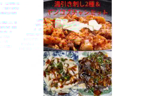 刺し2種<センマイ、ミノ>&ヤンコプチャンセット 約500g×1パック【1378605】福岡県水巻町14000肉牛肉