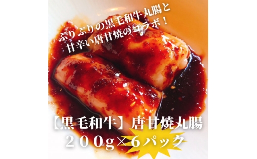 <黒毛和牛>唐甘焼丸腸200g×6pc【1643901】福岡県水巻町24000肉牛肉