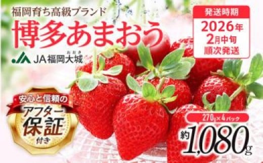 【アフター保証】博多あまおう 福岡県JAグループのブランド あまおういちご 1080g(約270g×4パック)JA福岡大城【2026年2月中旬から順次発送】AG010福岡県大木町10000果物・フルーツいちご