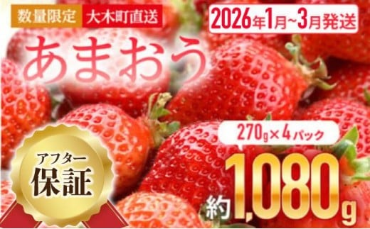 【アフター保証】いちご あまおう 大木町 約270g×4パック 合計1080g 【2026年1月〜3月に順次出荷予定】 イチゴ あかい まるい おおきい うまい CB223福岡県大木町9000果物・フルーツいちご